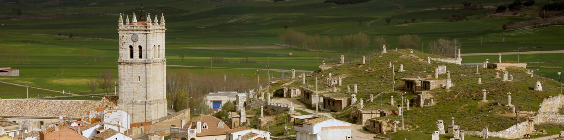 Cerrato Palentino Cerrato Palentino