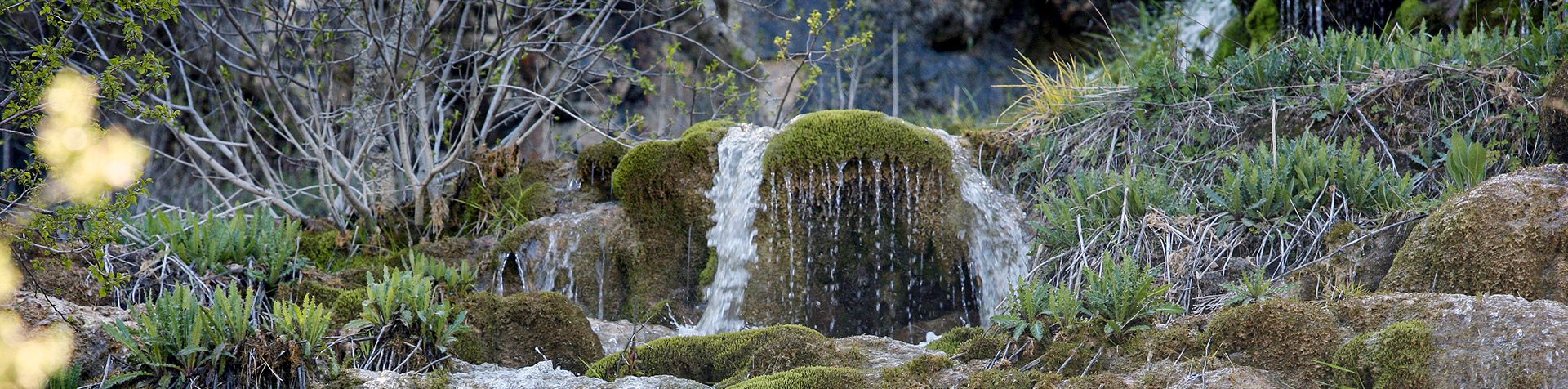 Espacio Natural Covalagua