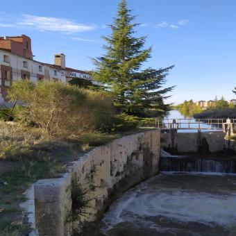 Esclusa del canal a su paso por Villamuriel de Cerrato Esclusa del canal a su paso por Villamuriel de Cerrato