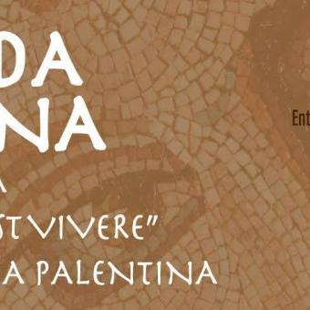 Programación Nocturna en la Olmeda Programación Nocturna en la Olmeda
