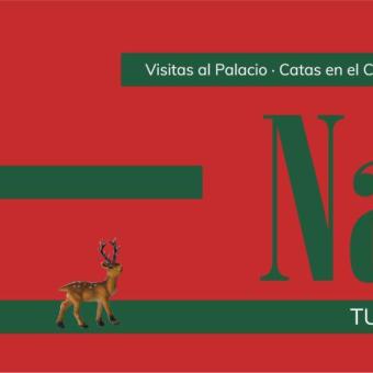 PROGRAMA NAVIDAD