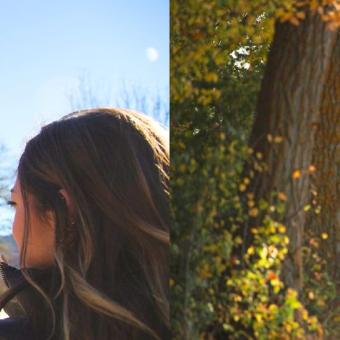 UN PUENTE, MIL PLANES "PALENCIA DESTINO DE OTOÑO"