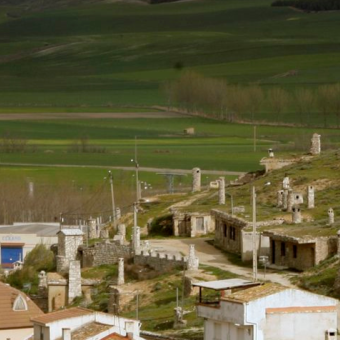 Cerrato Palentino Cerrato Palentino