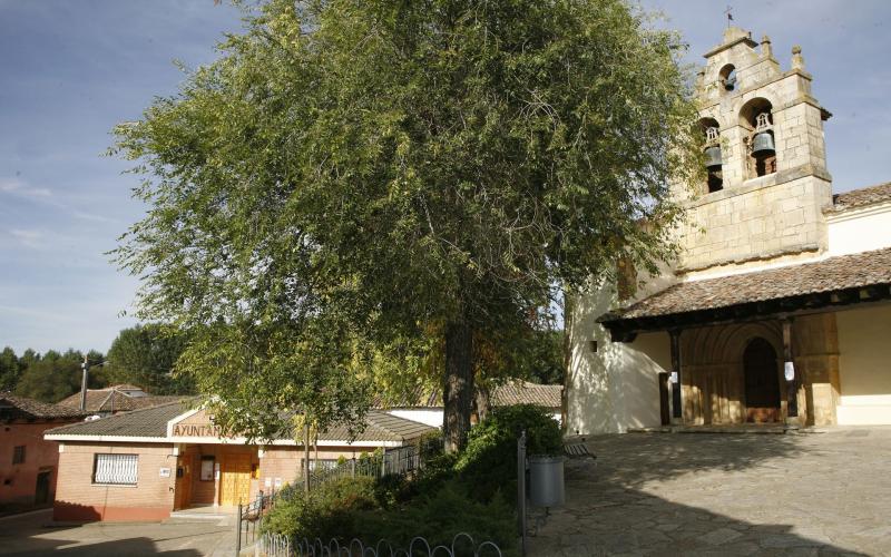 Ayuntamiento e Iglesia de Santa Lucía