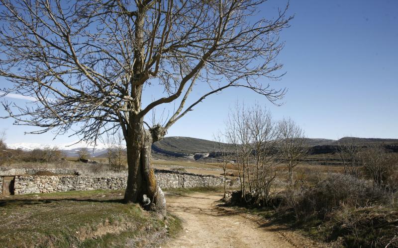 Vista del paisaje natural desde Dehesa de Montejo