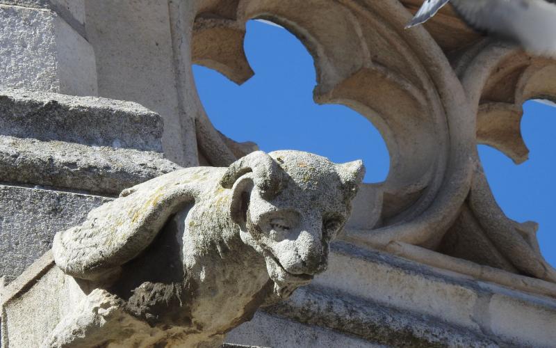 Gárgola con forma de bestia de la catedral de Palencia